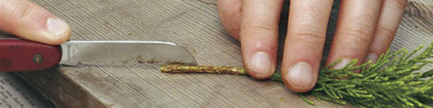 cutting