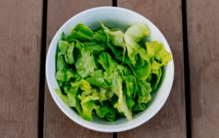 bowl of salad